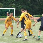 Sier_2011-6